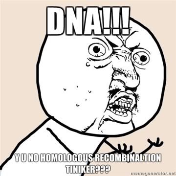 DNA-y-u-no-homologous-recombinaltio.jpg