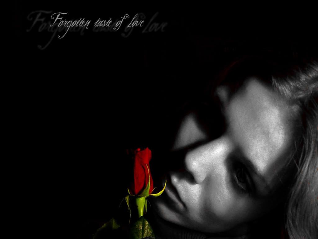 forgotten_taste_of_love.jpg