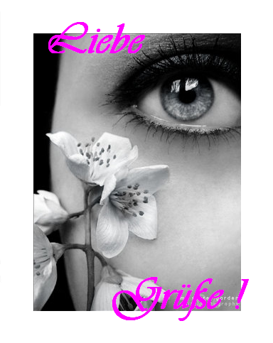 ext. Bild