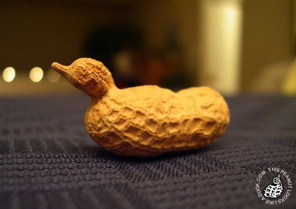 fat-duck-peanut.jpg