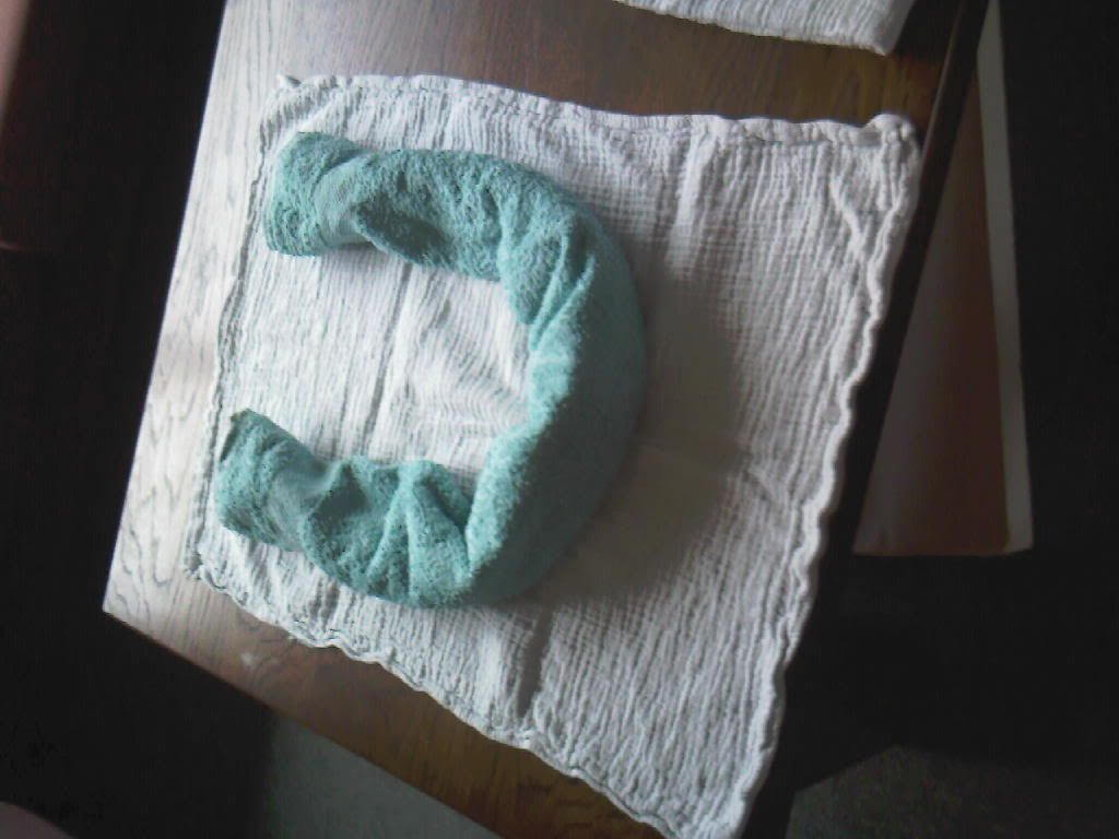 handdoek.jpg