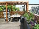 terrashoutenplantjes2.jpg