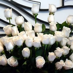 roses