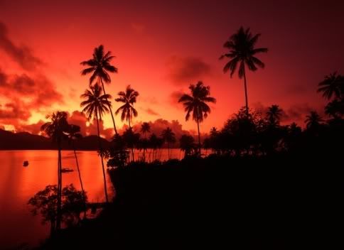 Fiji Pictures, Images and Photos