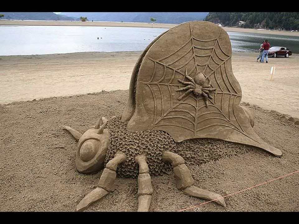 Diapositiva1.jpg picture by marita_60