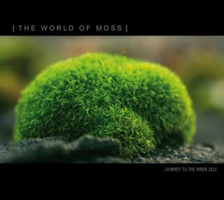 The World of Moss Mix Front
