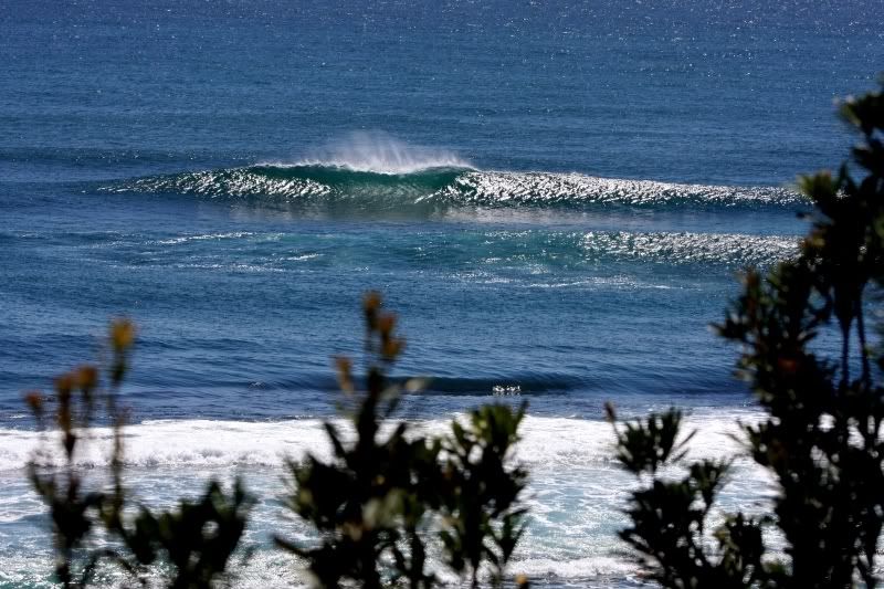 IMAGE: http://i180.photobucket.com/albums/x52/NedNoOne/IMG_2718web.jpg