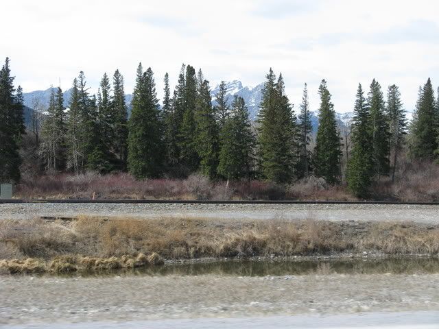 Tracks Near Exshaw