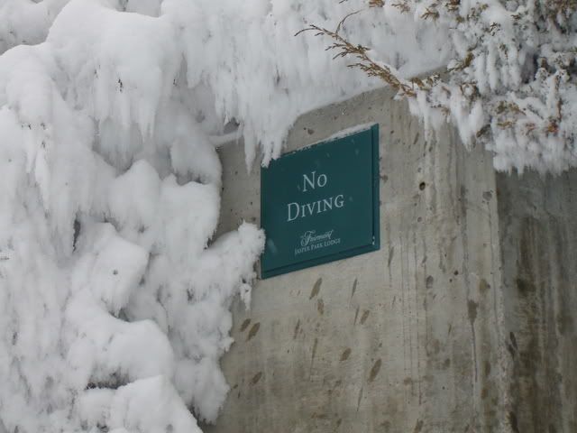 No Diving