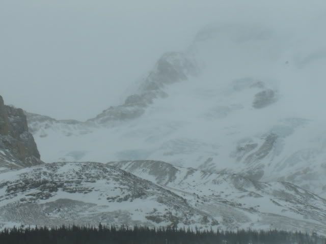 Icefields