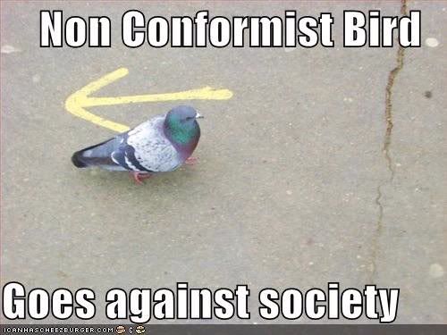 Nonconformist bird