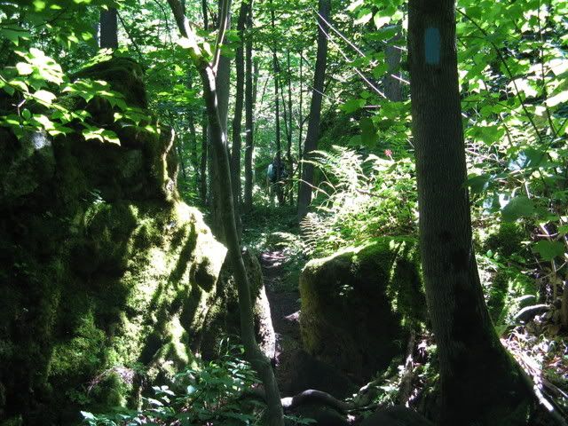 Bruce Trail