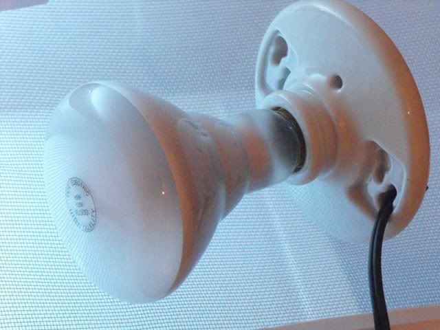 012-5.jpg