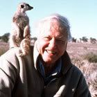 David Attenborough Pictures, Images and Photos