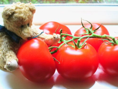 tomatoes