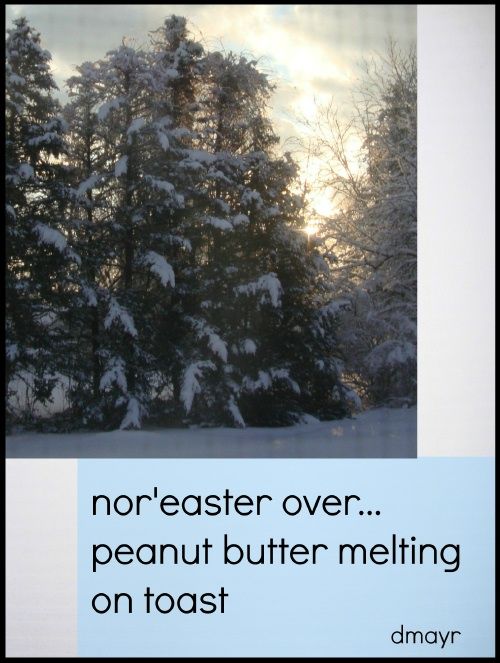 haiga