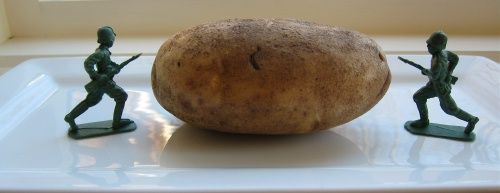 potato