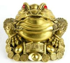 toad