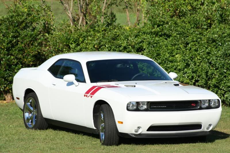 I Want To See Pics Of White Challengers! - Page 25 - Dodge Challenger 