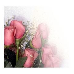 Faded Roses