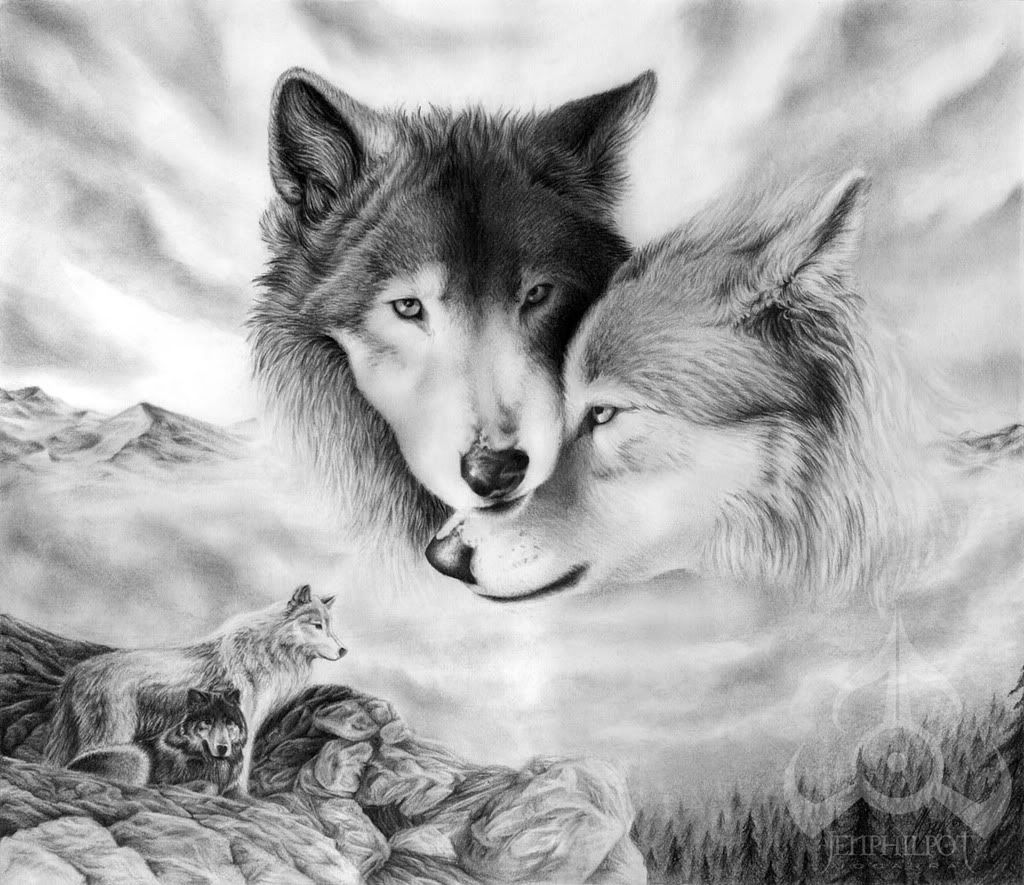 Wolf romance Pictures, Images and Photos