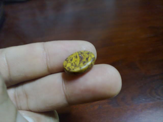 10112010457.jpg