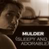 xf,x-files,icons