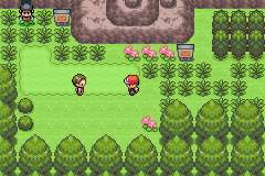 [PokeCommunity.com] Pokemon Zircon - Birth of an Era