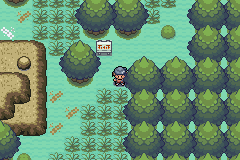 [PokeCommunity.com] Pokemon Zircon - Birth of an Era