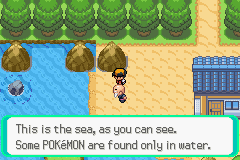 [PokeCommunity.com] Pokémon: Shining Silver - Reborn