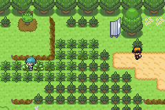 [PokeCommunity.com] Pokémon: Shining Silver - Reborn