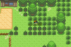 [PokeCommunity.com] Pokémon: Shining Silver - Reborn