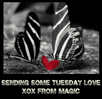 Tuesday Love Graphics, Pictures, & Images for Myspace Layouts