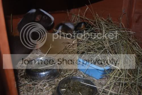 DSC_0141edit.jpg