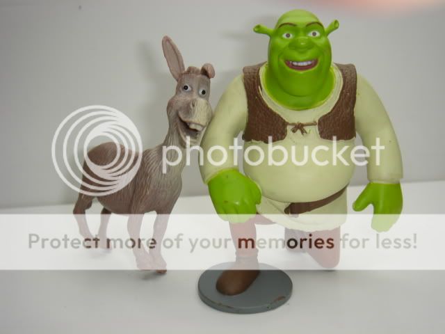 shrek movie shrek and donkey forever !