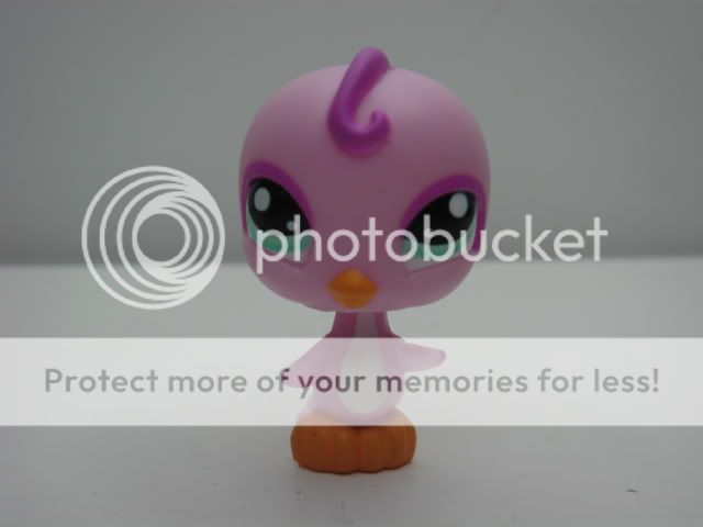 LPS LITTLEST PET SHOP #975 PURPLE BIRD  